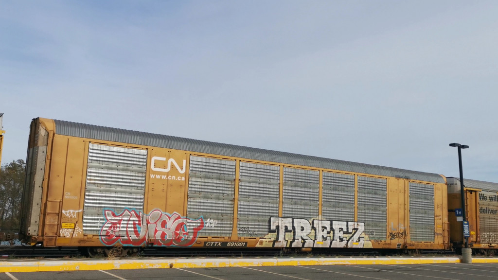 CN 691001 (Body) CTTX 691001 (Flat)